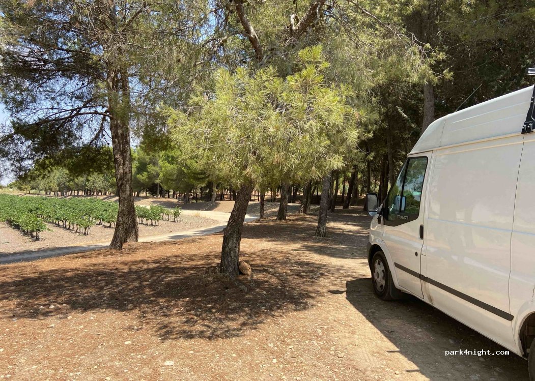 (13710) Argamasilla de Alba - — foto 3