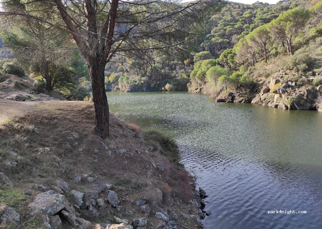 (28695) Navas del Rey - Unnamed Road — foto 3