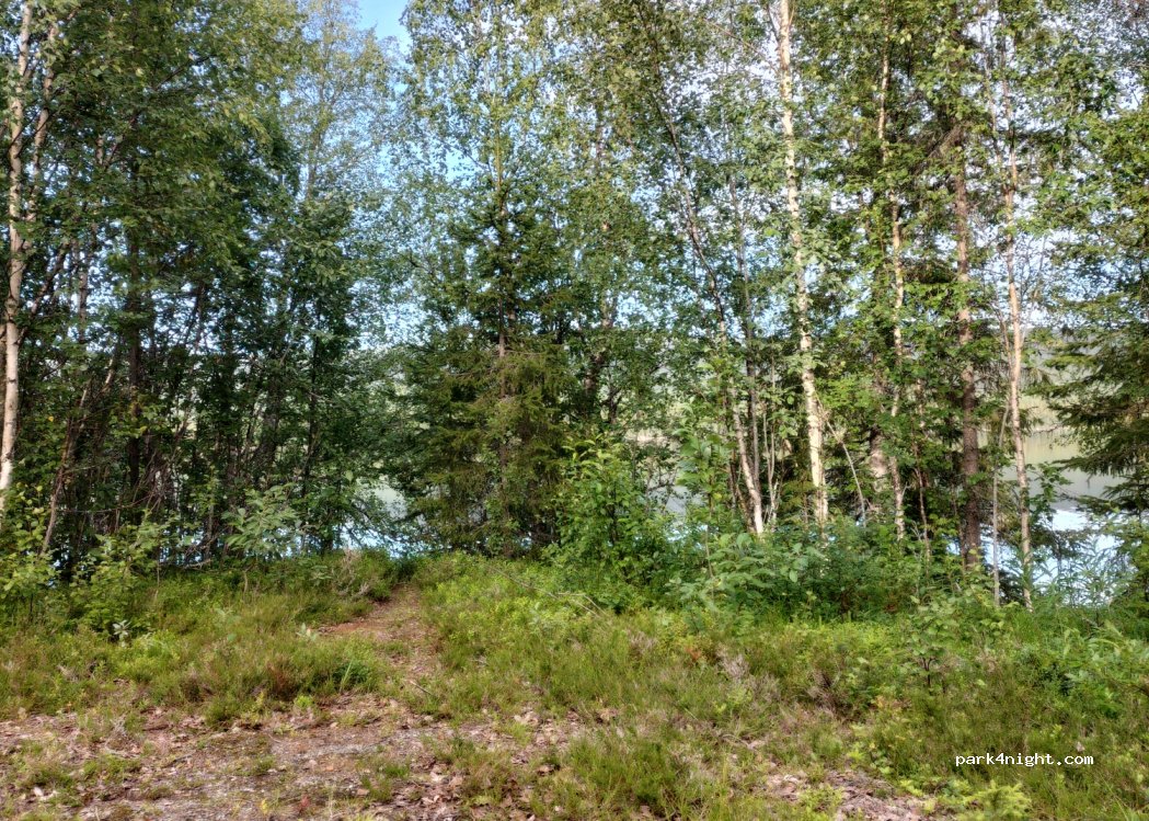 (833 98) Gäddede - — foto