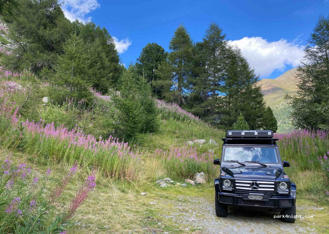 (23041) Livigno - — foto