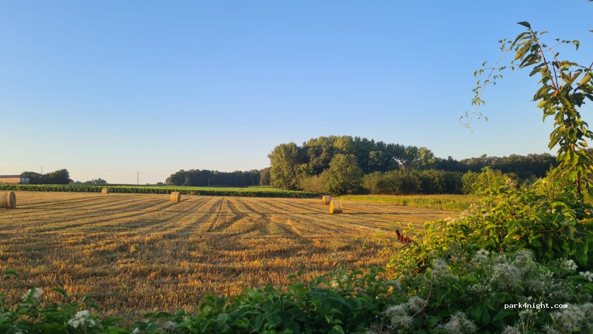 Camping Chez Philipaud — foto 4