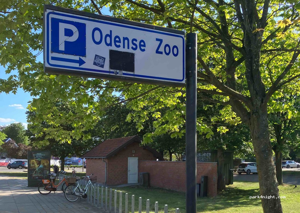 (5000) Odense - 19C Krügersvej — foto 4