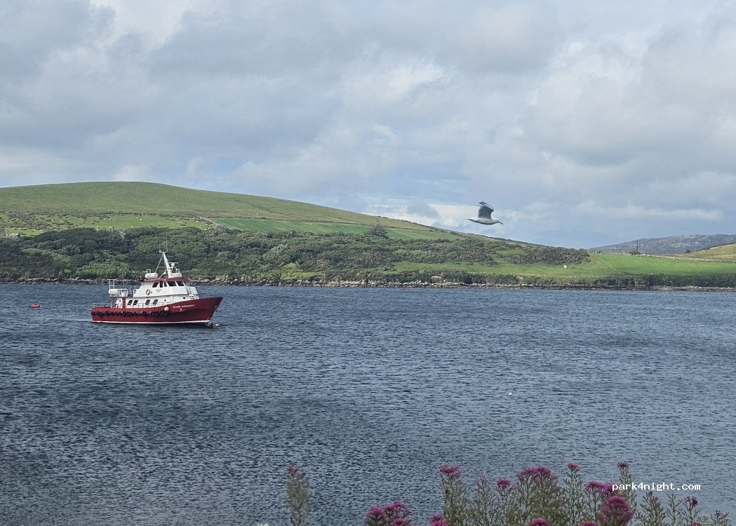 (H71 DK20) Cleggan - R379 — foto 3