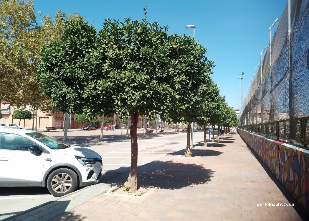 (30012) Murcia - 26 Diseminado Taller — foto 2