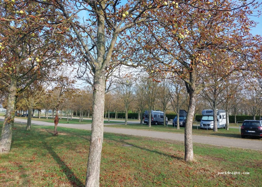 (79111) Freiburg im Breisgau - 5 Tiengener Straße — foto 2