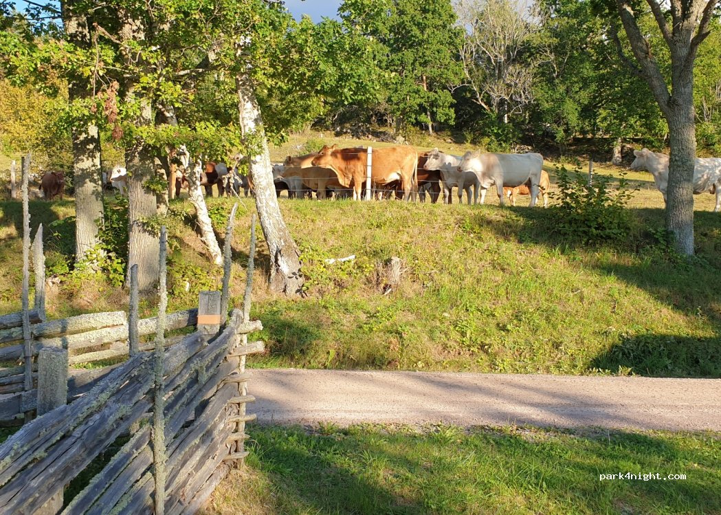 (599 91) Ödeshög - Unnamed Road — foto 3