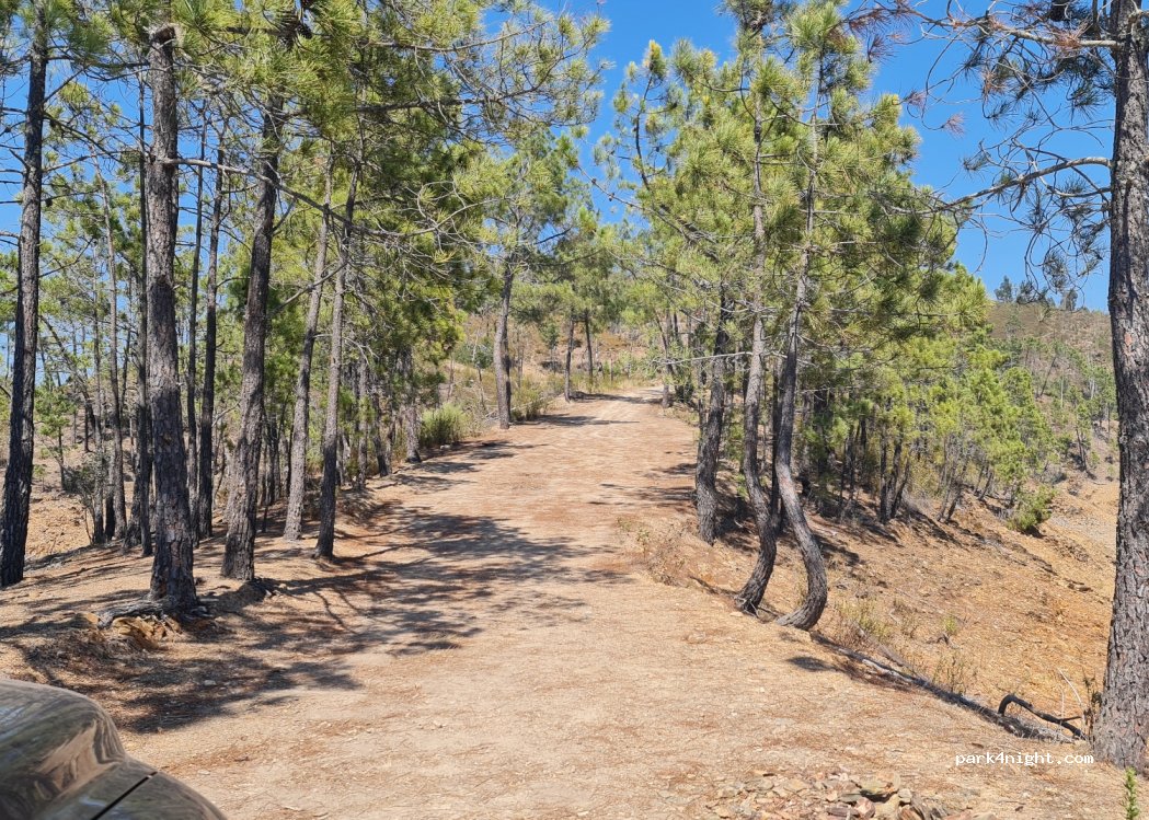 (6110) Vila de Rei - Unnamed Road — foto 2