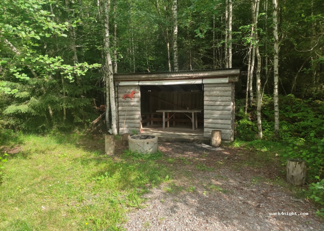 (2411) Hedmark - 4 Sekundær Fylkesveg 166 — foto 3