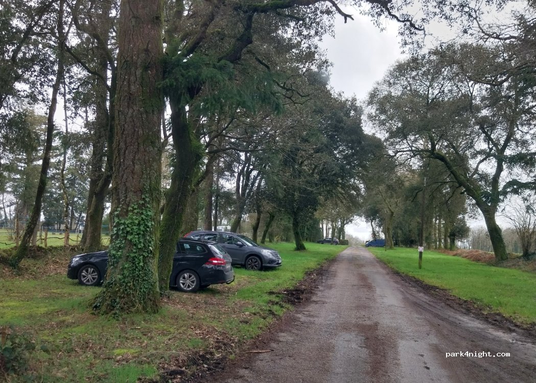 (56250) Elven - All. des Tours de l'Argoet — foto 3