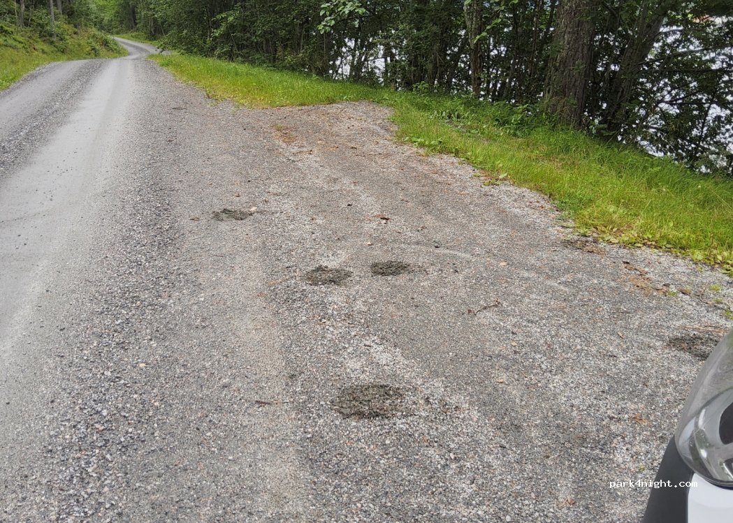(6630) Tingvoll - Hafellvegen — foto 4