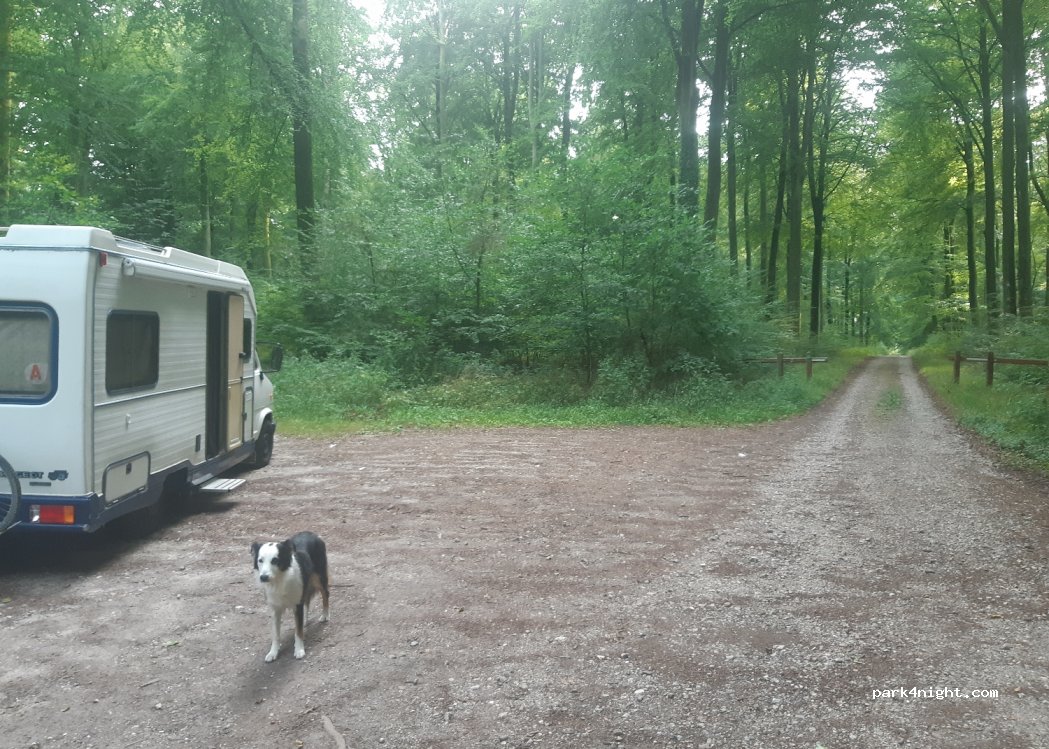 (76680) Rosay - Chemin de la Chapelle — foto