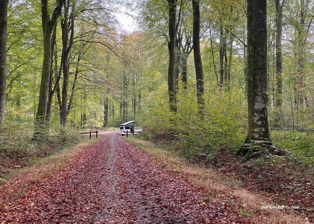 (76680) Rosay - Chemin de la Chapelle — foto 2