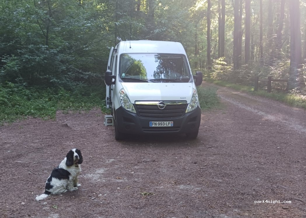 (76680) Rosay - Chemin de la Chapelle — foto 3