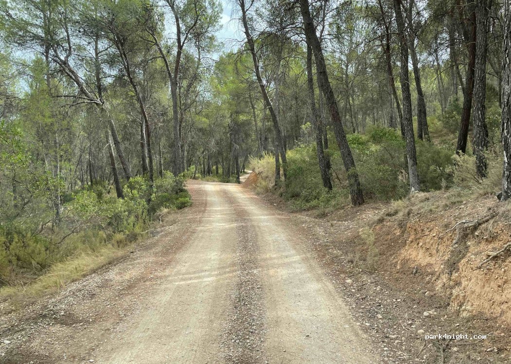 (16260) Minglanilla - — foto 2
