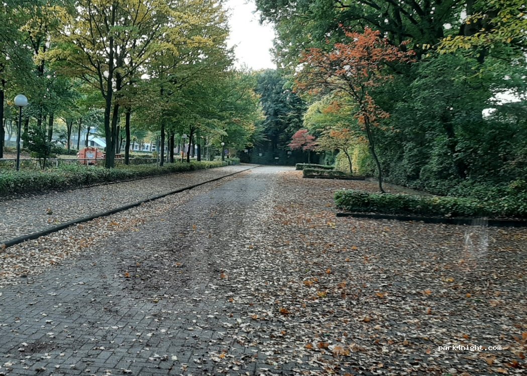 (49661) Cloppenburg - Brahmsstraße 9 — foto