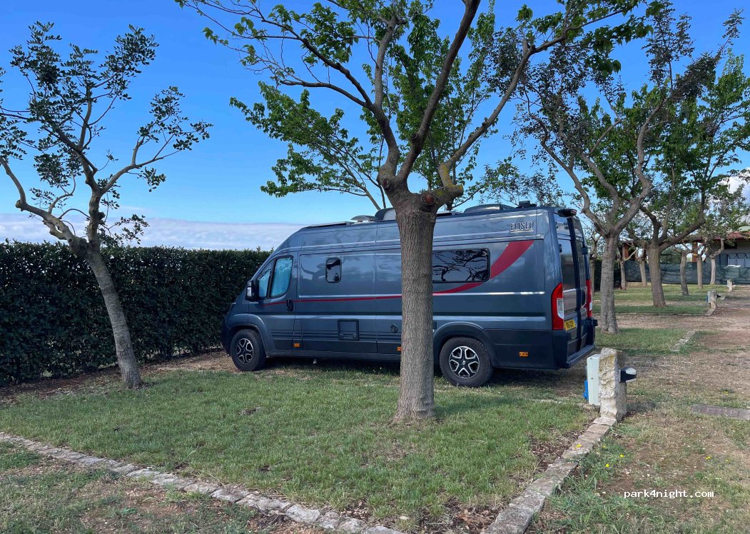 Azienda Agricola Melillo — foto 4