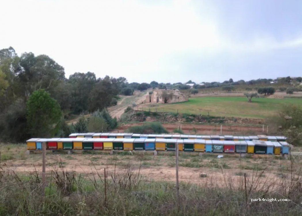 BioGold Sicilia — foto 2