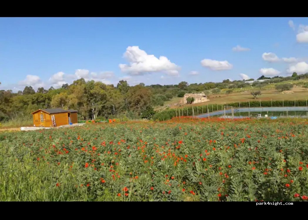 BioGold Sicilia — foto 3