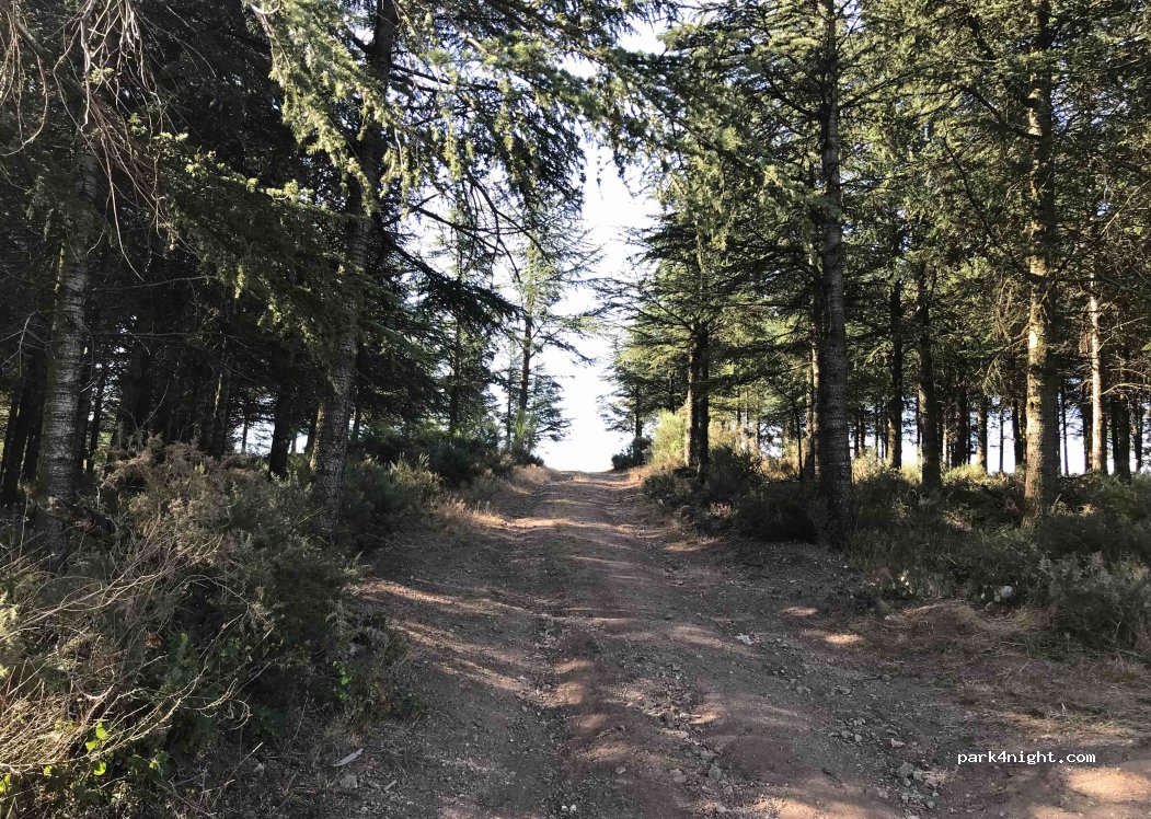 (11400) Labécède-Lauragais - 214 À Escardel — foto 2