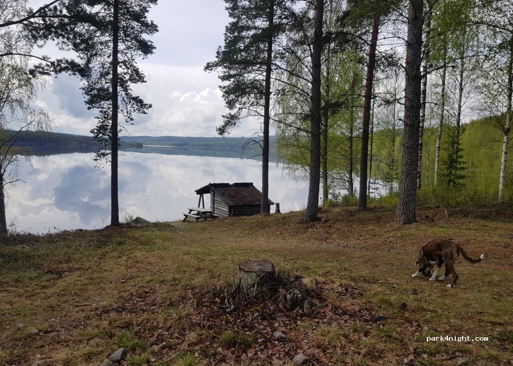 (680 65) Höljes - 62 — foto 3