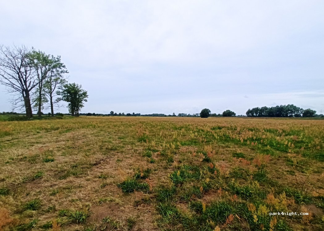 (62-406) Sługocin - — foto 4