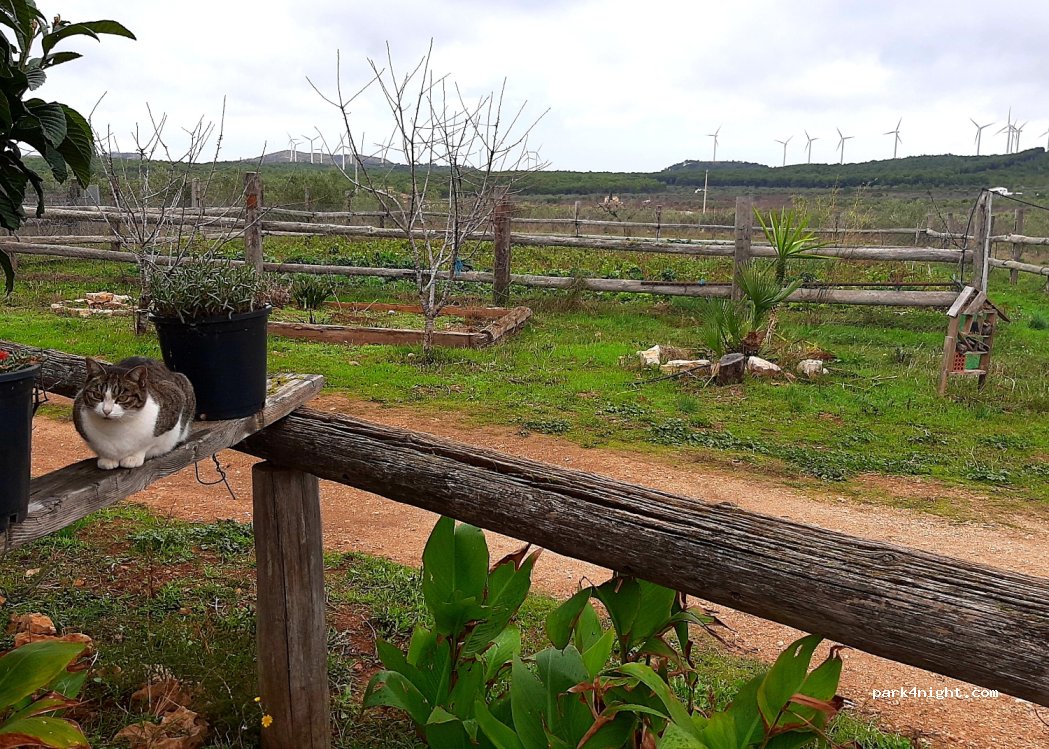 Terra de burgans — foto 4