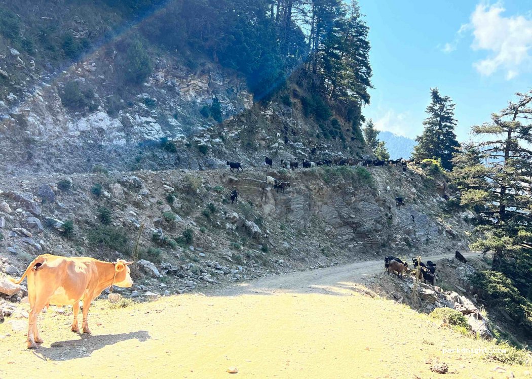 (240 22) Lefktro - Unnamed road — foto