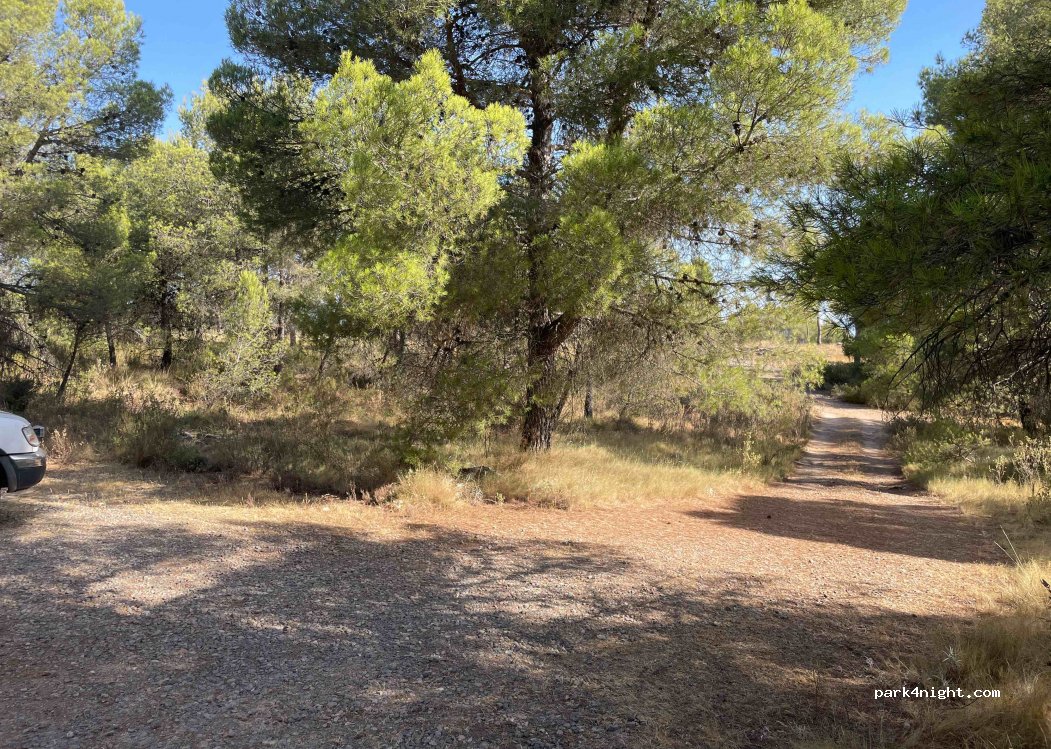 (30848) El Berro - — foto 2