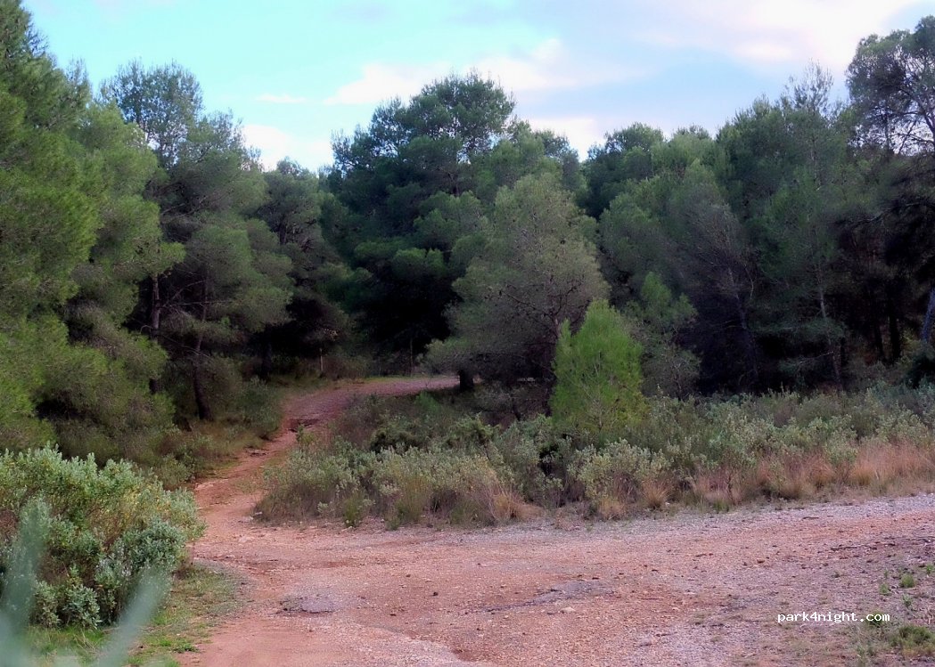 (30848) El Berro - — foto 3