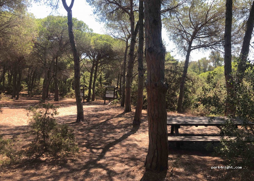 (07037) Sorso - Unnamed Road — foto