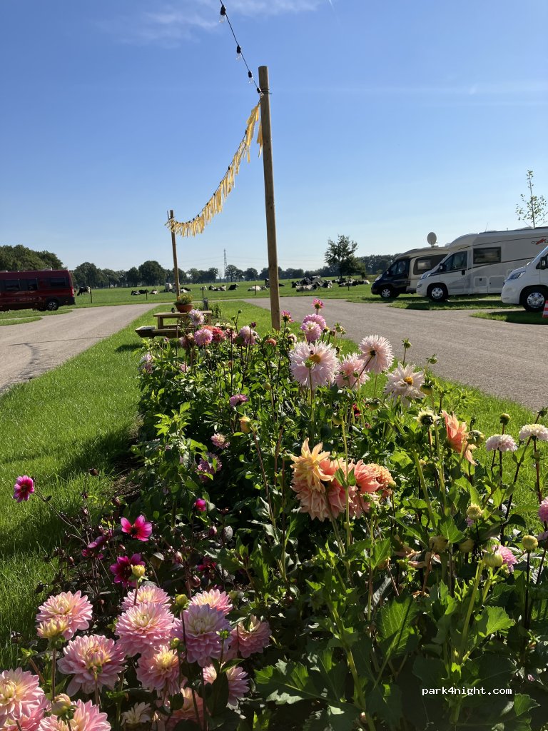 Camperplaats de Hoge Valk — foto