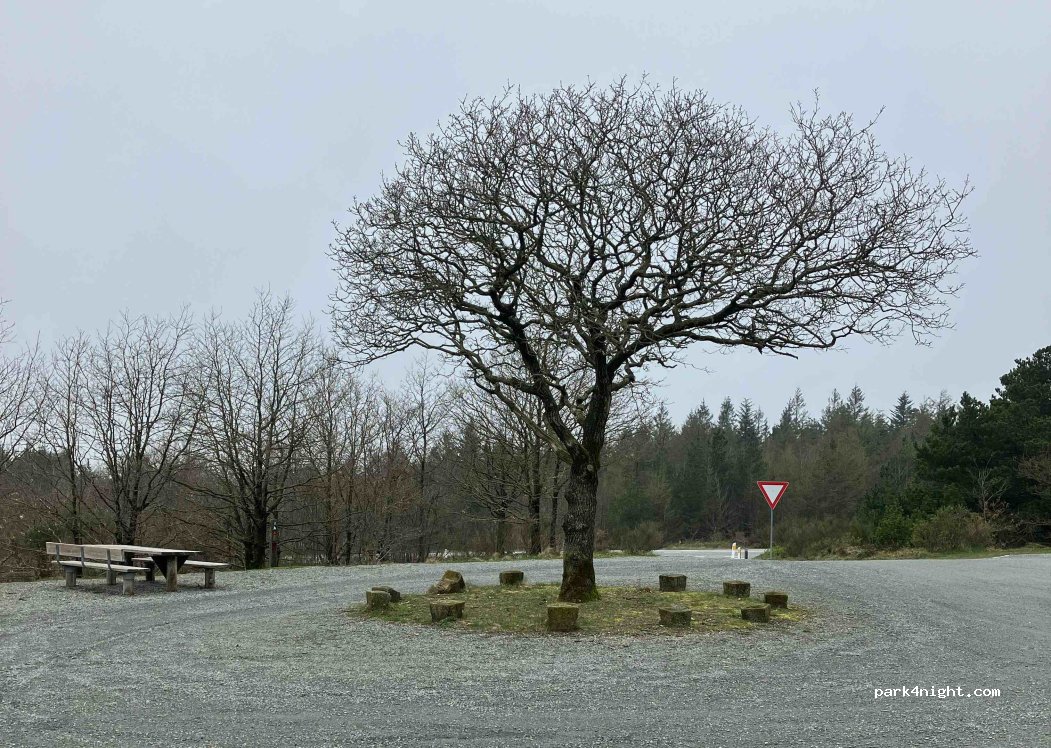 (6973) Ørnhøj - Unnamed Road — foto 4