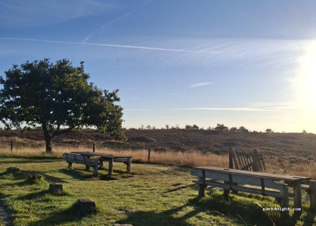 (6973) Ørnhøj - Unnamed Road — foto 5