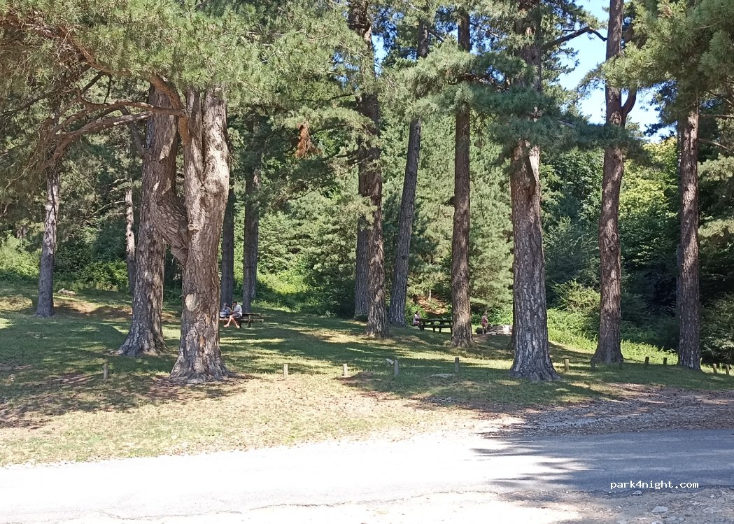 (66480) L'Albère - — foto 3