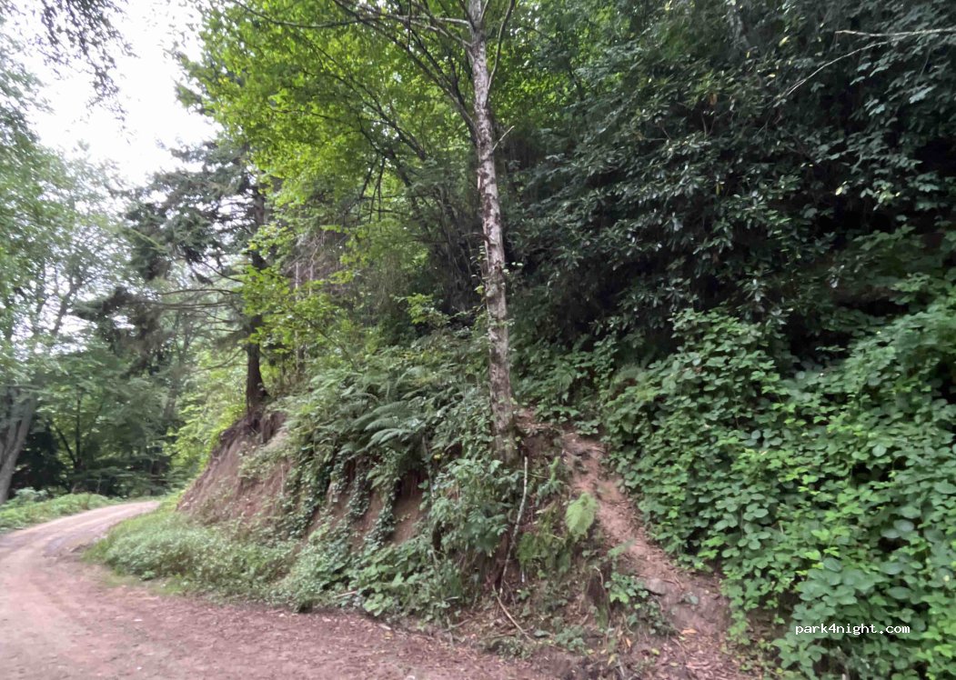 (61750) Maçka - Unnamed Road — foto 2