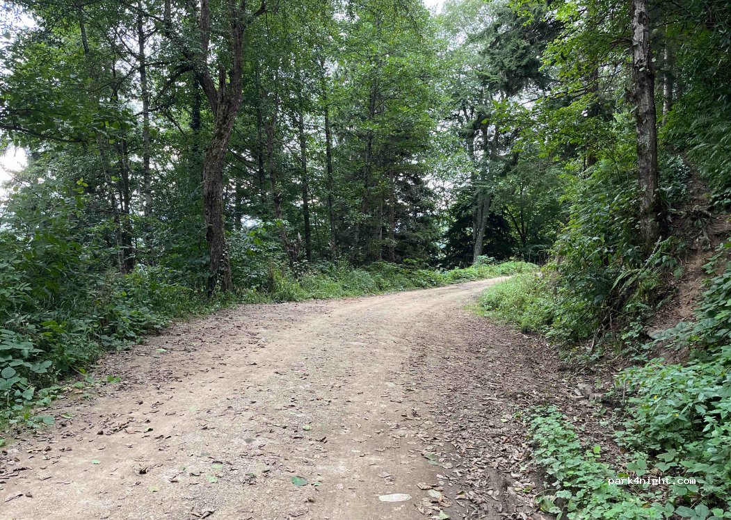 (61750) Maçka - Unnamed Road — foto 3