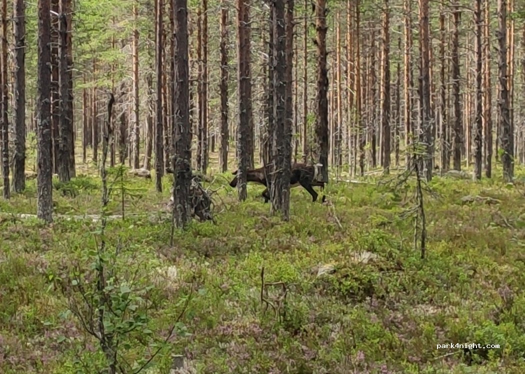 (790 90) Särna - — foto 4