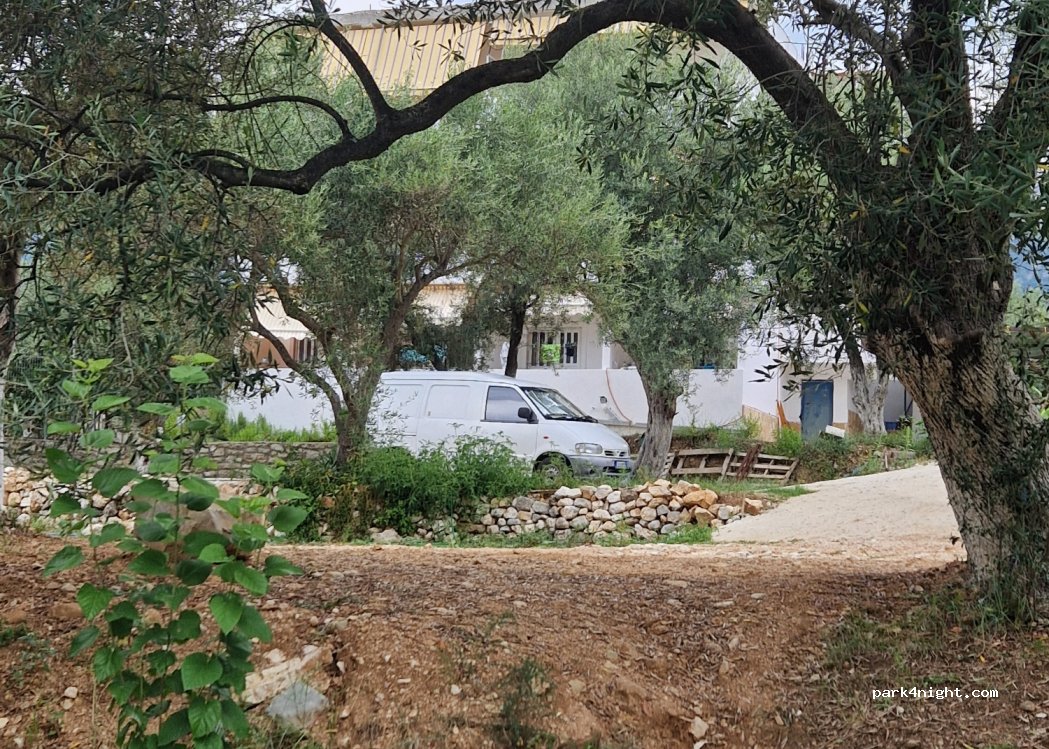 Olive Camping Himara — foto 2