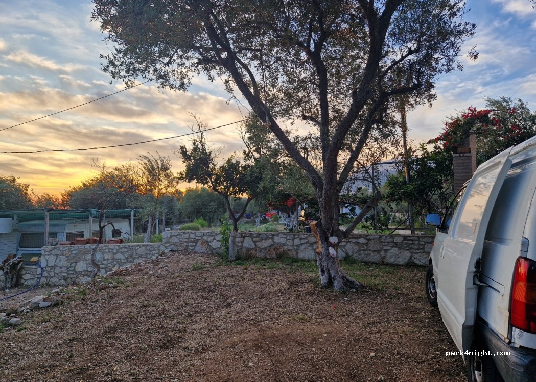 Olive Camping Himara — foto 3