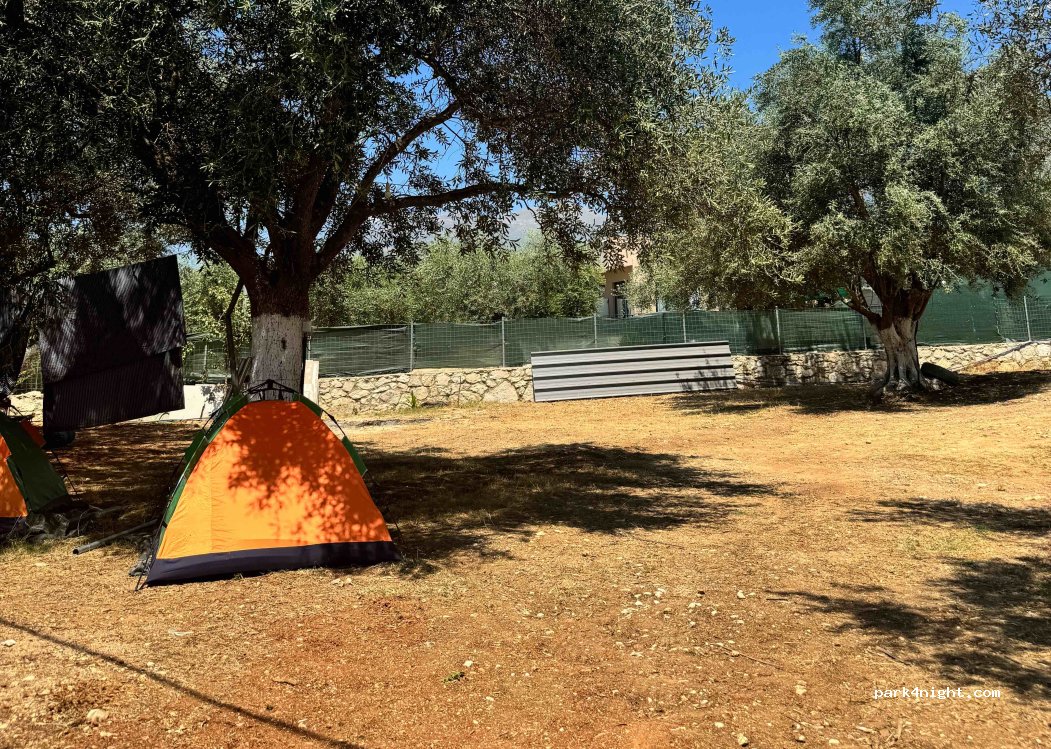 Olive Camping Himara — foto 4