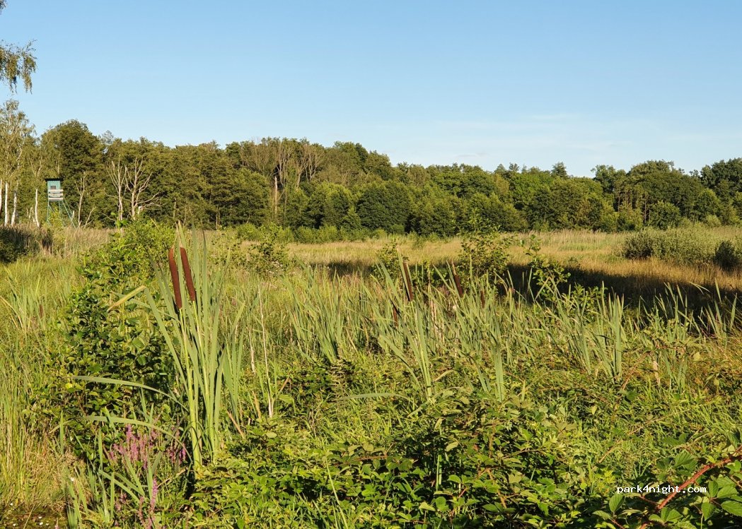 (04849) Laußig - 3 Neumühle — foto 3