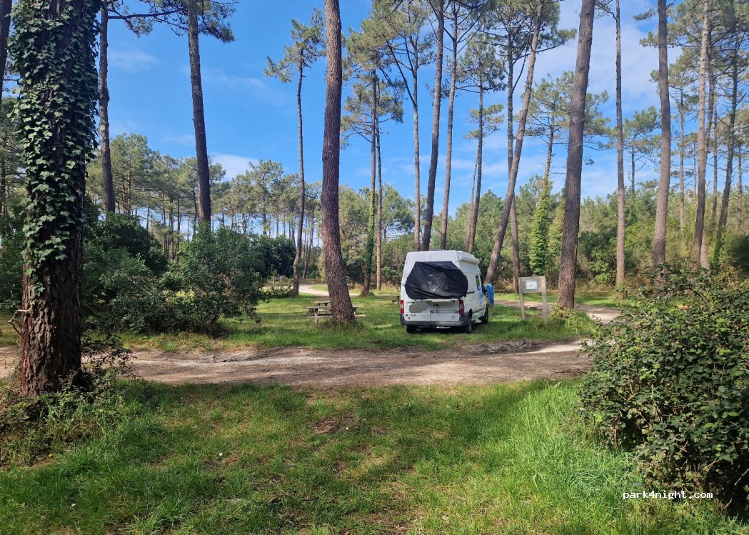 (33970) Lège-Cap-Ferret - Avenue de Bordeaux — foto 4