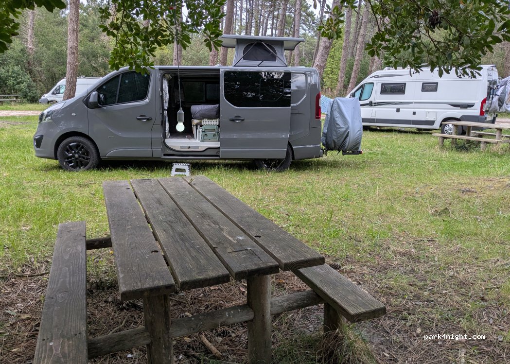(33970) Lège-Cap-Ferret - Avenue de Bordeaux — foto 5