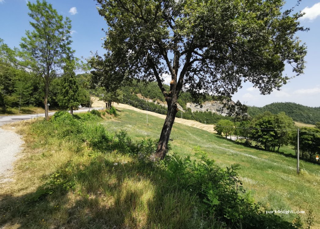 (47021) Bagno di Romagna - SP26 — foto 2