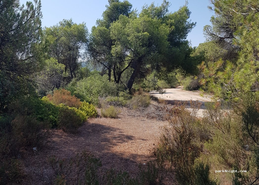 (630 78) Sithonia - — foto 3