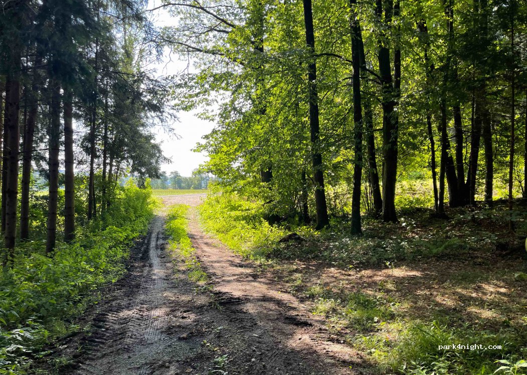 (8561) Södingberg - — foto 2