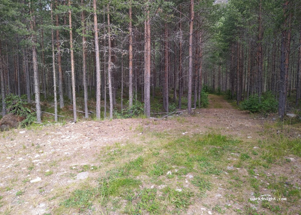 (2682) Lalm - — foto 2