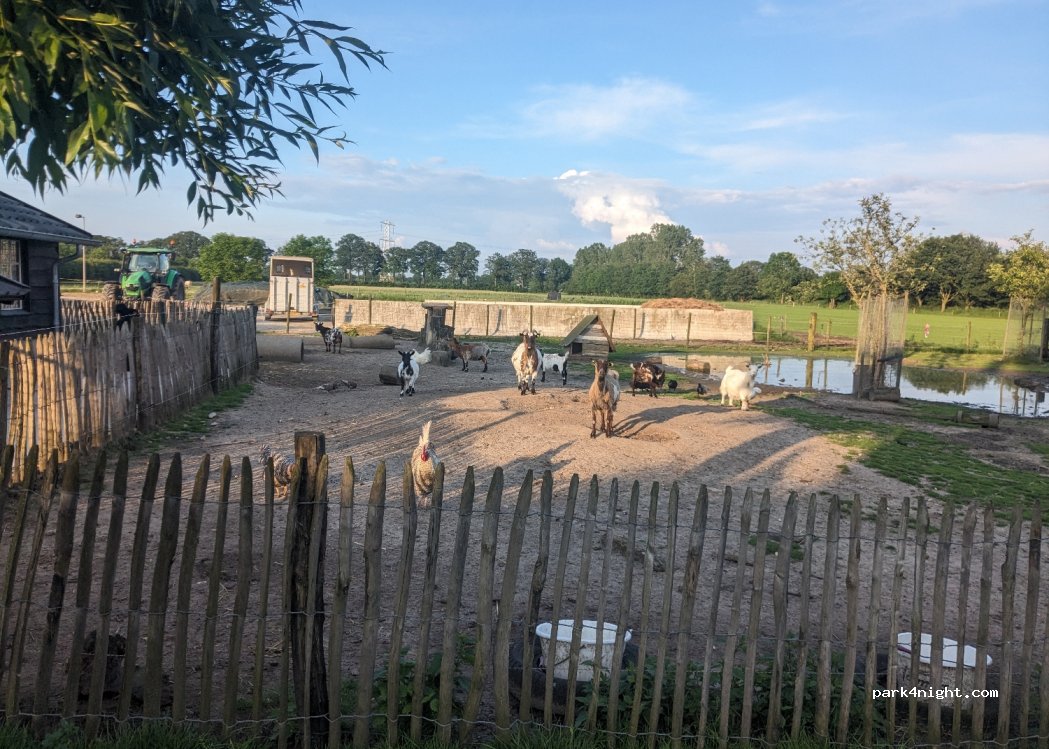 Kampeerboerderij De Tienmorgen — foto 3