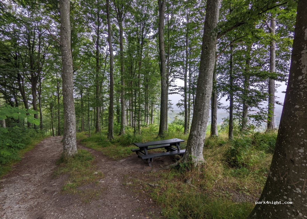 (9900) Frederikshavn - Unnamed Road — foto