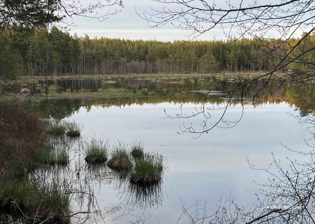 (577 77) Järnforsen - Unnamed road — foto